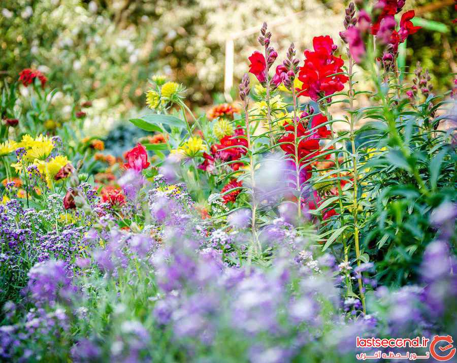 باغ ملی ‏ Botanical Garden